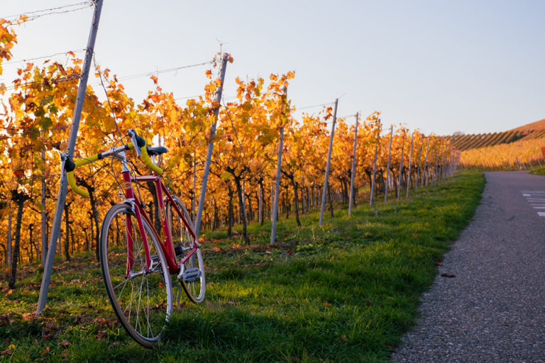 5_7_felix-ospTQoR7W1M-unsplash_1200x900px